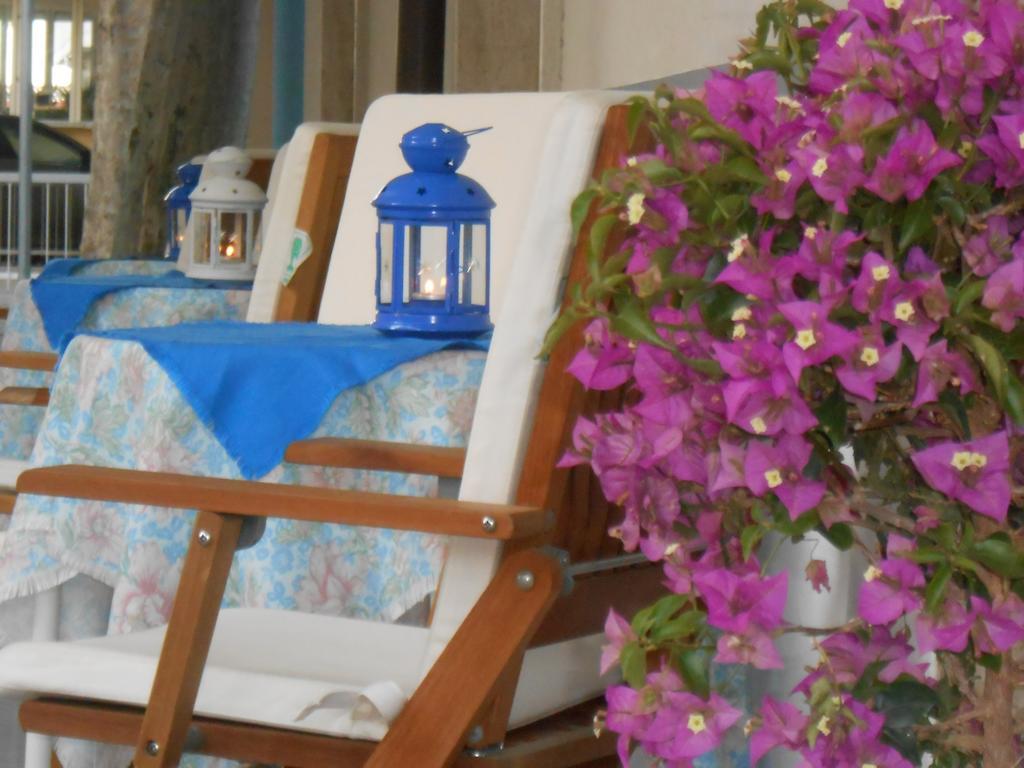 Hotel Villa Dei Platani Bellaria-Igea Marina Buitenkant foto